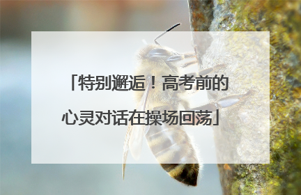 特别邂逅！高考前的心灵对话在操场回荡