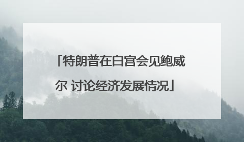 特朗普在白宫会见鲍威尔 讨论经济发展情况