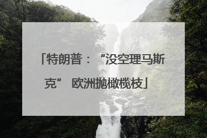 特朗普：“没空理马斯克” 欧洲抛橄榄枝