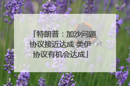 特朗普：加沙问题协议接近达成 美伊协议有机会达成
