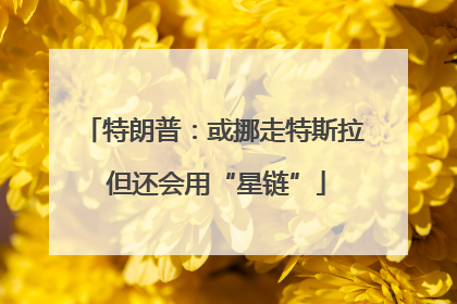 特朗普：或挪走特斯拉 但还会用“星链”