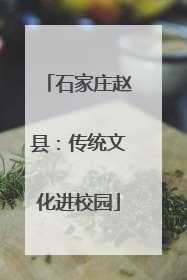 石家庄赵县：传统文化进校园