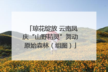 琼花绽放 云南凤庆“山野精灵”舞动原始森林（组图）