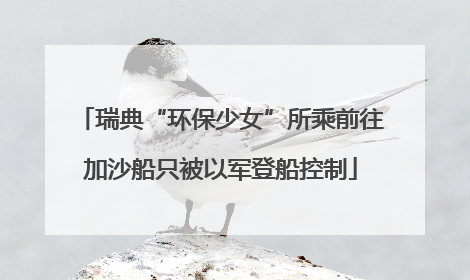 瑞典“环保少女”所乘前往加沙船只被以军登船控制
