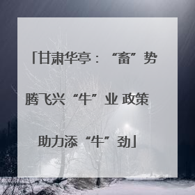 甘肃华亭：“畜”势腾飞兴“牛”业 政策助力添“牛”劲