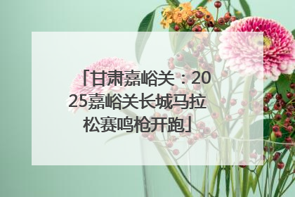 甘肃嘉峪关：2025嘉峪关长城马拉松赛鸣枪开跑