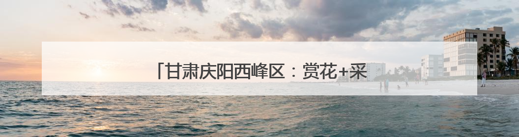 甘肃庆阳西峰区：赏花+采摘 解锁乡村旅游新体验