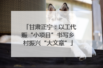 甘肃正宁：以工代赈“小项目”书写乡村振兴“大文章”