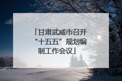甘肃武威市召开“十五五”规划编制工作会议