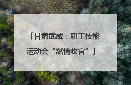 甘肃武威：职工技能运动会“燃情收官”