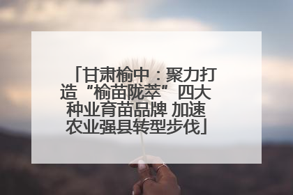甘肃榆中：聚力打造“榆苗陇萃”四大种业育苗品牌 加速农业强县转型步伐