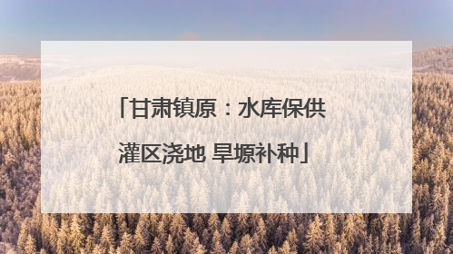 甘肃镇原：水库保供 灌区浇地 旱塬补种