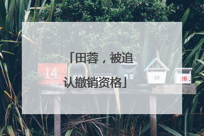 田蓉，被追认撤销资格