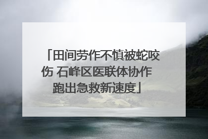田间劳作不慎被蛇咬伤 石峰区医联体协作跑出急救新速度