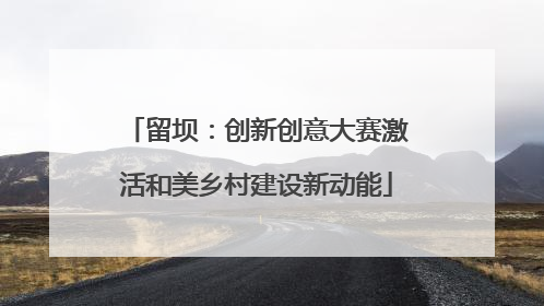 留坝：创新创意大赛激活和美乡村建设新动能