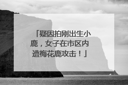 疑因拍刚出生小鹿，女子在市区内遭梅花鹿攻击！