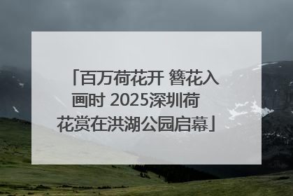 百万荷花开 簪花入画时 2025深圳荷花赏在洪湖公园启幕