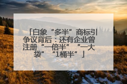 白象“多半”商标引争议背后：还有企业曾注册“一倍半”“一大袋”“1桶半”