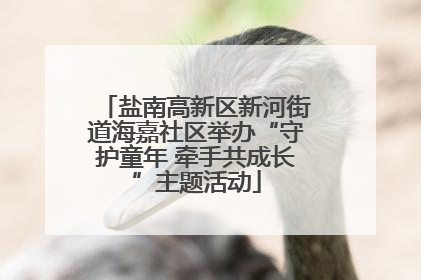 盐南高新区新河街道海嘉社区举办“守护童年 牵手共成长”主题活动