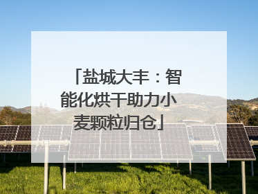 盐城大丰：智能化烘干助力小麦颗粒归仓