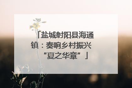 盐城射阳县海通镇：奏响乡村振兴“夏之华章”