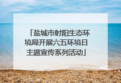 盐城市射阳生态环境局开展六五环境日主题宣传系列活动