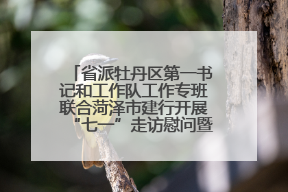 省派牡丹区第一书记和工作队工作专班联合菏泽市建行开展“七一”走访慰问暨红色教育活动