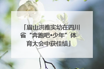 眉山洪雅实幼在四川省“奔跑吧•少年”体育大会中获佳绩