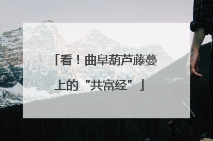 看！曲阜葫芦藤蔓上的“共富经”