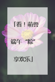 看！萌兽端午“粽”享欢乐