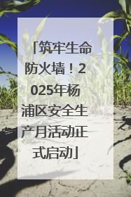 筑牢生命防火墙！2025年杨浦区安全生产月活动正式启动