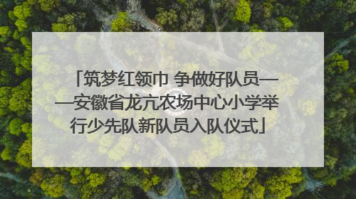 筑梦红领巾 争做好队员——安徽省龙亢农场中心小学举行少先队新队员入队仪式