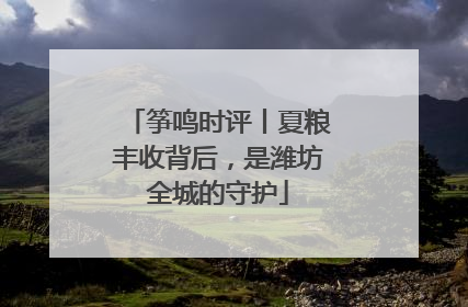 筝鸣时评丨夏粮丰收背后，是潍坊全城的守护