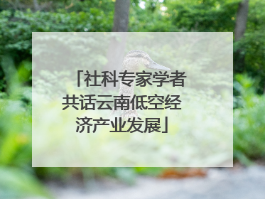 社科专家学者共话云南低空经济产业发展