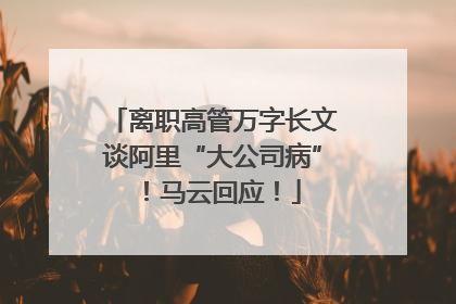 离职高管万字长文谈阿里“大公司病”！马云回应！