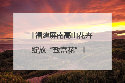 福建屏南高山花卉绽放“致富花”