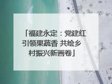 福建永定：党建红引领果蔬香 共绘乡村振兴新画卷