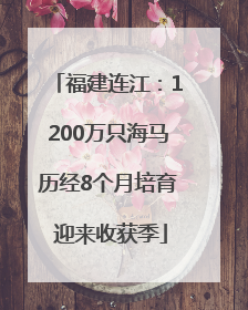 福建连江：1200万只海马历经8个月培育 迎来收获季