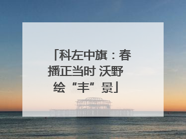 科左中旗：春播正当时 沃野绘“丰”景
