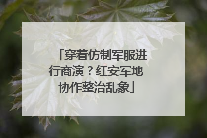 穿着仿制军服进行商演？红安军地协作整治乱象