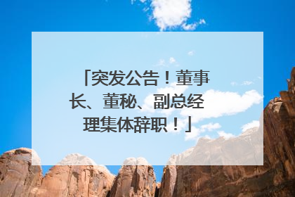 突发公告！董事长、董秘、副总经理集体辞职！