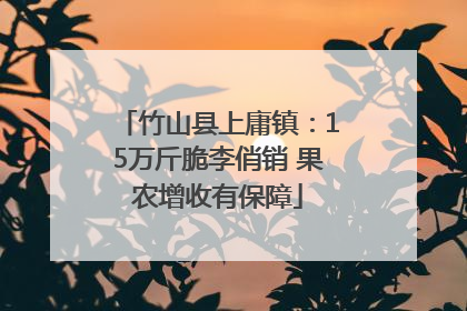 竹山县上庸镇：15万斤脆李俏销 果农增收有保障