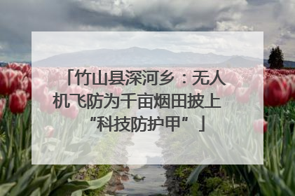 竹山县深河乡：无人机飞防为千亩烟田披上“科技防护甲”