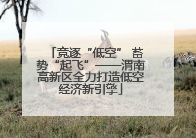 竞逐“低空” 蓄势“起飞”——渭南高新区全力打造低空经济新引擎