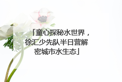 童心探秘水世界，徐汇少先队半日营解密城市水生态
