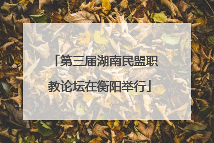 第三届湖南民盟职教论坛在衡阳举行