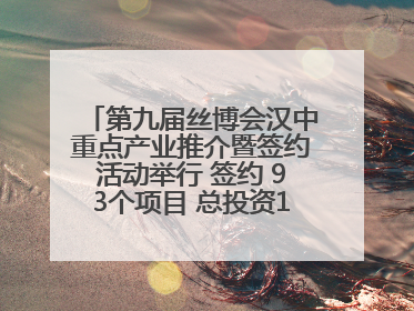 第九届丝博会汉中重点产业推介暨签约活动举行 签约 93个项目 总投资132.23 亿元