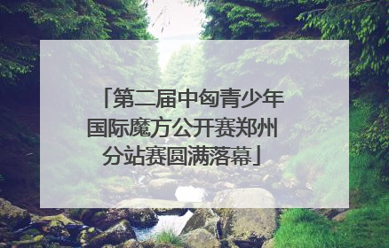 第二届中匈青少年国际魔方公开赛郑州分站赛圆满落幕