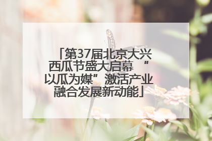第37届北京大兴西瓜节盛大启幕 “以瓜为媒”激活产业融合发展新动能