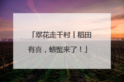 翠花走千村丨稻田有喜，螃蟹来了！